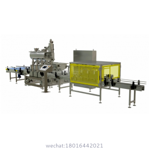 Automatic Net Weight Twin Lane A-B Filling Machine